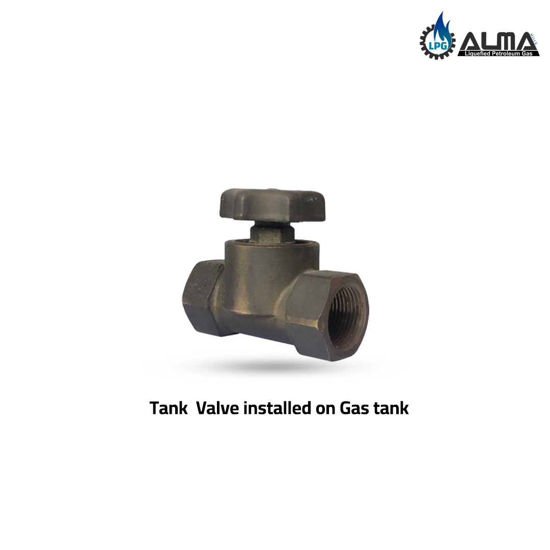 Advanced industrial valve for gas systems